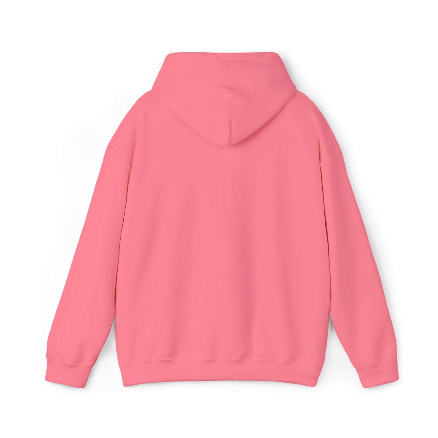 ProSpective Embroidered Pastel Hoodie