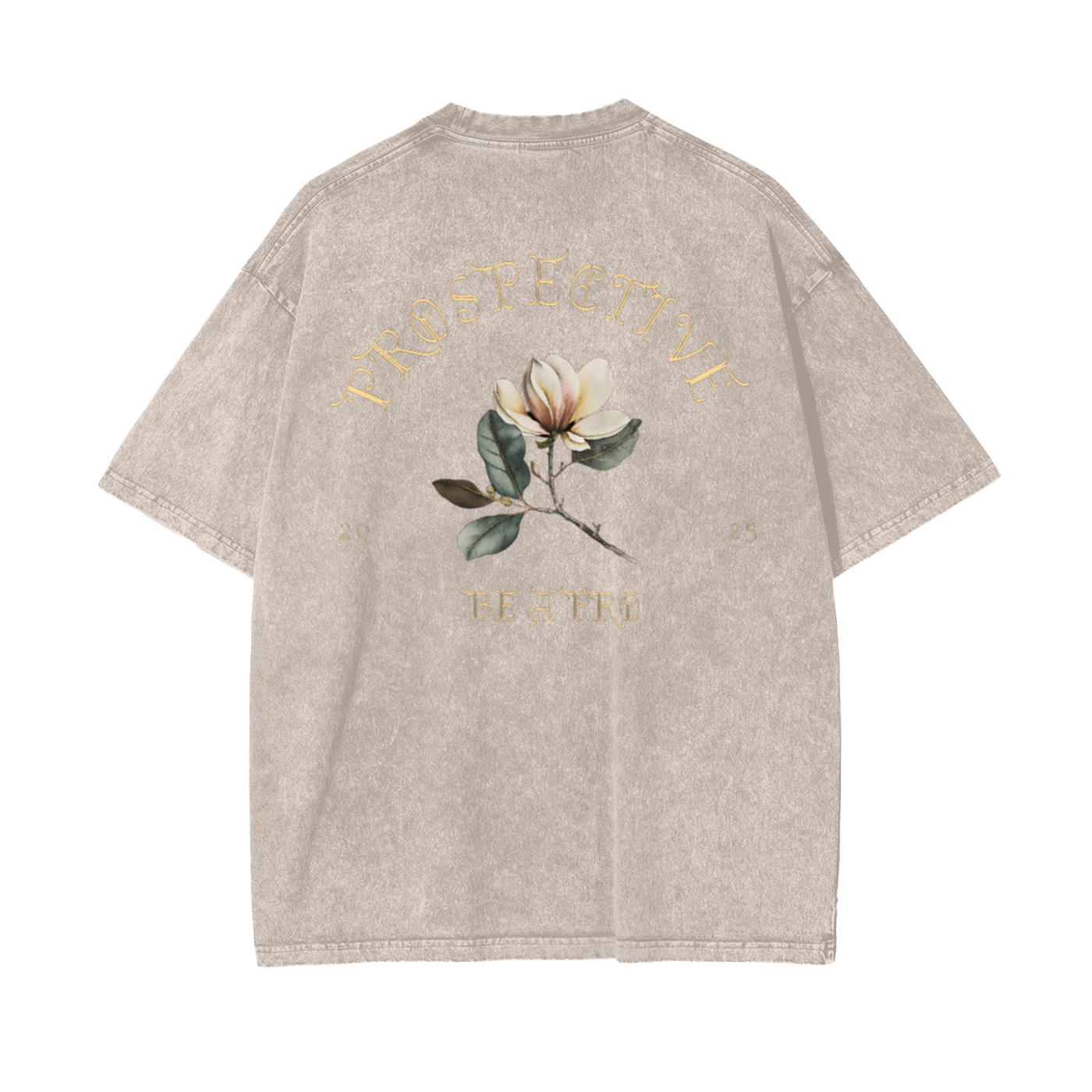 ProSpective Oversize Snow Washed T-Shirt