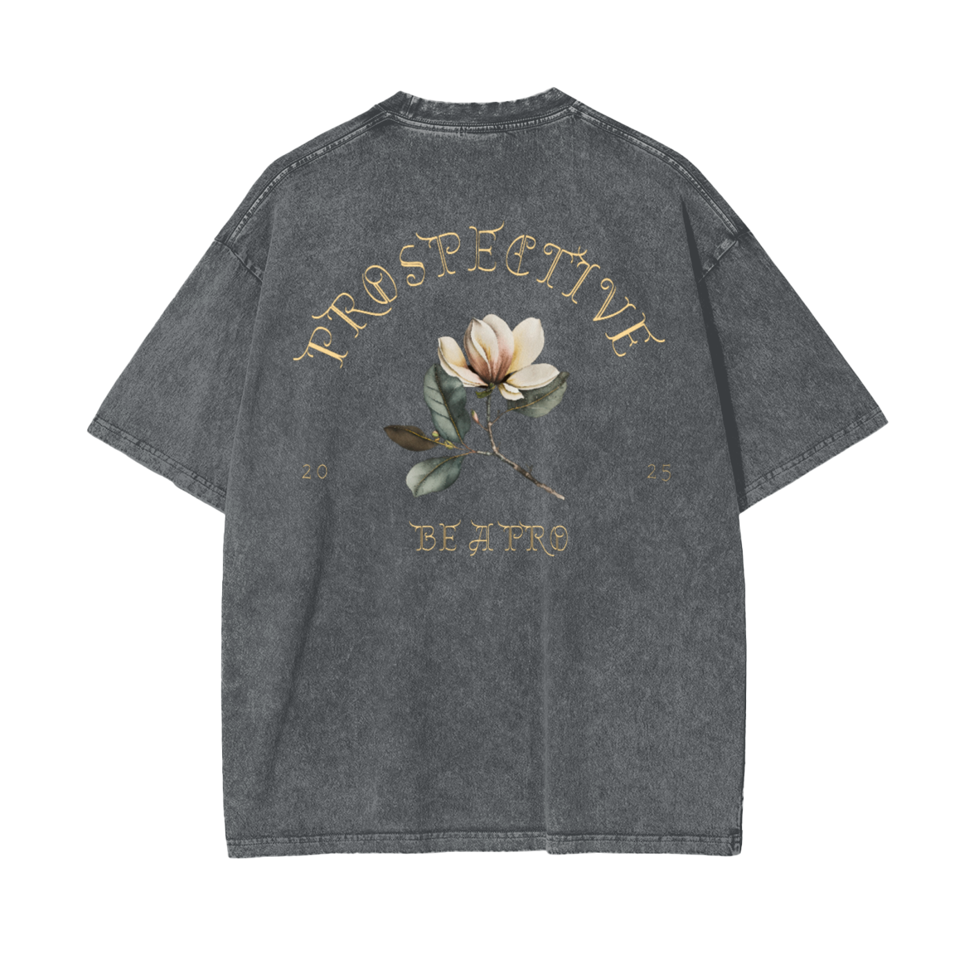 ProSpective Oversize Snow Washed T-Shirt