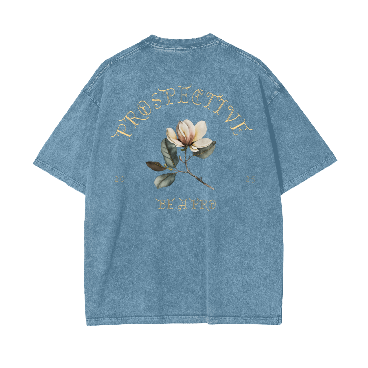 ProSpective Oversize Snow Washed T-Shirt